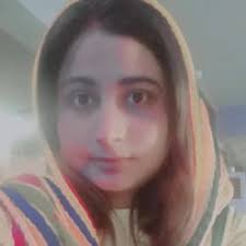 Provide an accurate report analysis by ahref or by semrush by Softechhub