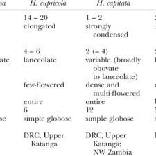 Image result for Aeschynomene pawekiae
