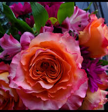 From copper by tammy laforest. Tammy S Flowers Photos Facebook