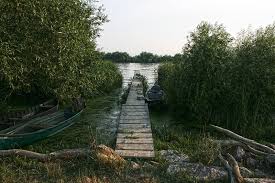 **children up to 5 years old travel for free. Sfantu Gheorghe Satul StaÅ£iune Din Delta Dunarii