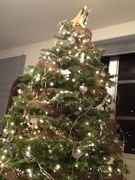 Pin By Patricia Saiki On Mango Tree Studios Pjs Works Of Art Mango Tree Holiday Decor Tree