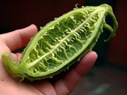 Timothy Mershon, Cherry Valley, IL (1954