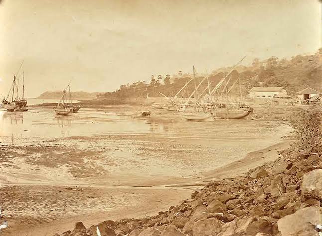 View of Back Bay & Malabar Hill Bombay, 1880 Photo - Past-India