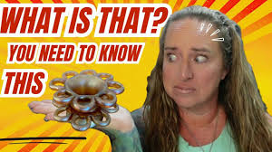 Unveil the beauty and value of Collectible Flower Frogs Selling for  Hundreds in 2025