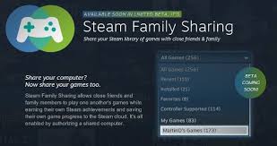 Steam Announces Family Sharing Beta For Lending Out Your Digital Downloads Steam Family Family Share Family Games