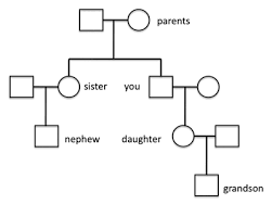 Vector art illustration of branchy tree with strong roots. Understanding Genetics