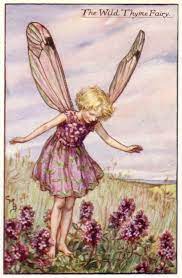 The Wild Thyme Fairy Flower Fairies Fairy Pictures Beautiful Fairies