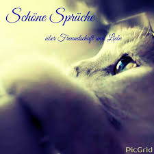 Schöne Sprüche über Freundschaft Und Liebe Home Facebook