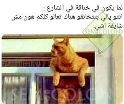 133 images about ضحك on we heart it see more about ض ح ك م ضحك and ت ح ش ي ش funny joke quote funny photo memes otaku funny