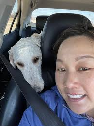 How to handle a beagle's reactive behavior around other dogs and animals?