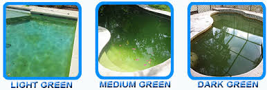 Maybe you would like to learn more about one of these? Pool Shock Shocking For Algae Removal Intheswim Pool Blog