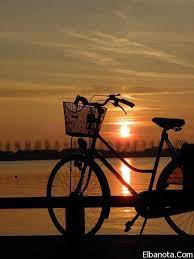 صور مميزة لغروب الشمس على شاطئ البحر بنوته كافيه sunset bicycle beautiful sunset