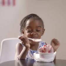 Come and try our gourmet ice cream...