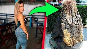 We would like to show you a description here but the site won't allow us. Mc Sofia Felix Dancando Mp3 Mp4 Flv Webm M4a Hd Video Indir