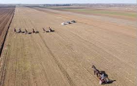 Profita de preturile avantajoase in suceava in centru sau spre periferie. Vanzare Online ComercializeazÄ Pantofi De Sport Video Cu Cai Generalpromo Ro