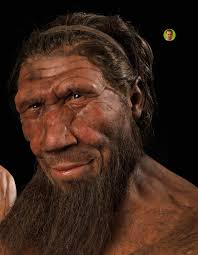 Natural History Magazine Summer issue by Our Media