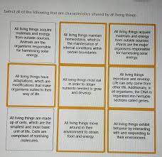 Animal cells have which of the following characteristics select all that apply. Select All Of The Following That Are Characteristics Chegg Com