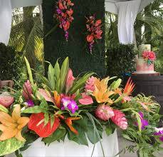 Bulk buy hibiscus flower online from chinese suppliers on dhgate.com. Tropical Flowers Tropical Flower Arrangements Tropical Flowers Flowers Online