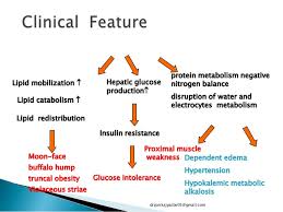 Cushing Syndrome And Addison Disease