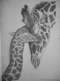 Check spelling or type a new query. Giraffe And Baby Pencil Drawing Drawings Pinterest Giraffe Tattoos Baby Animal Drawings Giraffe Drawing
