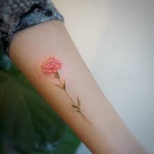 Maybe you would like to learn more about one of these? Carnation Tatuagens De Flores Nascimento Tatuagem De Cravo Desenhos De Tatuagem De Flor