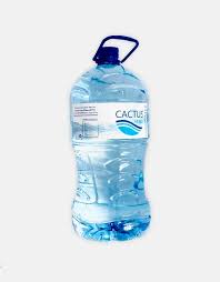 Before giving your plant a drink, it is best to check the moisture level in the. Cactus Pure Water