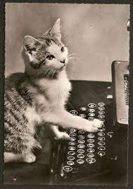 cat and a typewriter cat quotes cats great cat