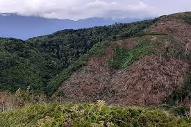 Selanjutnya menurut salah seorang tim sosialisasi khairul anwa, st.mt (dekan fak. Tngl Belum Aman Dari Ancaman Pembalakan Dan Perambahan Mongabay Co Id Mongabay Co Id