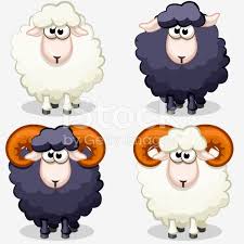Black And White Sheep Picture Cartoon Black And White Sheep In Vectors Sheep Cartoon Sheep Illustration Sheep Drawing