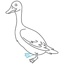 Draw an oval at the bottom. How To Draw A Goose Really Easy Drawing Tutorial