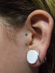 Vertical Tragus Piercing Wish Mine Didn T Become Infected Vertical Tragus Piercing Tragus Piercings Piercing