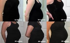 28 Weeks Pregnant Growth Chart Www Bedowntowndaytona Com