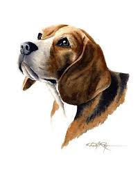 Beagle Art Print By Watercolor Artist Dj Rogers Etsy Dog Paintings Dog Print Art Beagle Art