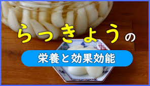 らっきょうの栄養と期待できる8つの効果 硫化アリル サポニン 食物繊維が豊富 お役立ち 季節の耳より情報局