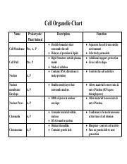 Cells Organelle Chart Pdf Cell Organelle Chart Name