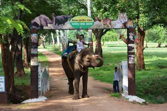 ☆Betla National Park (बेतला नेशनल पार्क)☆ ~ झारखंड प्रकृति की गोद में बसा  हुआ है. यहां आपको कई खूबसूरत जगहें मिलेंगी. यह राष्ट्रीय उद्यान झारखंड के  ...