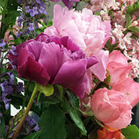 Silica gel is actually not a gel: Dry Flowers Using Silica Gel Agm Containers Controls