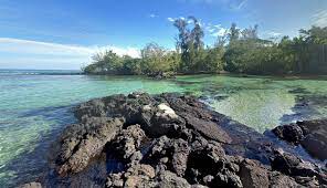 How is carlsmith beach park rated on tripadvisor? Carlsmith Beach Park Big Island Guide
