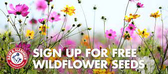 I have a couple free wildflower seed offers to share with you today! Free Wildflower Seeds Freebie Mom