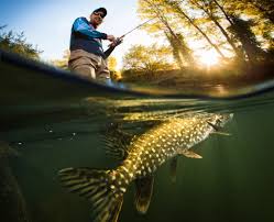 If it's your fault, there's very little that can be done. Things To Know And Remember To Ensure A Successful Fishing Trip