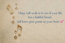 Find the best paw prints quotes, sayings and quotations on picturequotes.com. Paw Prints On My Heart Quotes Quotesgram