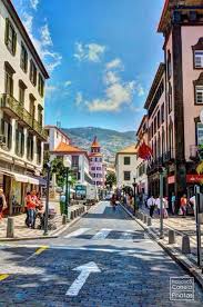 Madeira's verdant vegetation is the perfect contrast for the blue of the sea. Funchal Madeira Portugal Funchal Portugal Travel Beautiful Places To Visit