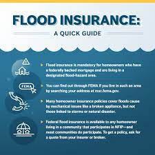 Her insurance company or insurance agent can provide you with a policy on that nfip or a private one flood insurance company. Underwater After Hurricanes Without Flood Insurance