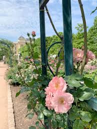 Jardin Des Plantes Paris France Botanical Garden Botanical Gardens Jardin Botanical