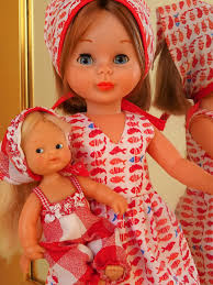 La biblioteca silvestre: Nancy, manual de la A a la Z