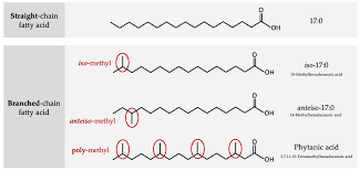 Image result for Fatty Acid
