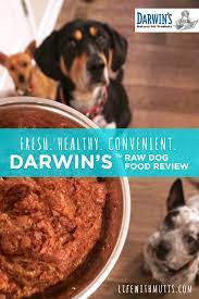 Happier Healthier Dogs Thanks To Darwin S Natural Pet Food Life With Mutts Dog Food Recipes Healthy Dog Food Recipes Food Animals