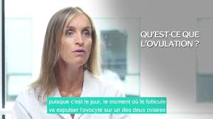 Comment augmenter mes chances de tomber enceinte ? Calculer Sa Date D Ovulation Facilement Methode Cycle