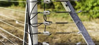 Electric fences are an inexpensive way to keep animals out of an area for good. How To Make Sure Your Electric Fence Is Doing Its Job 24 7 Benoni City Times