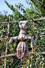 We did not find results for: Scarecrow Garden Doll Figure Agriculture Garden Decoration The Witch Risk Terrible Fear Fence Pikist